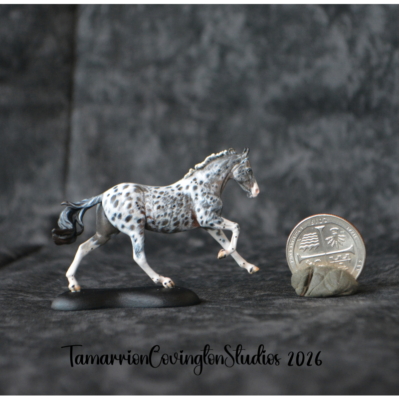 Roan appaloosa Custom micro mini Anise Painted and by Tamarion Covington