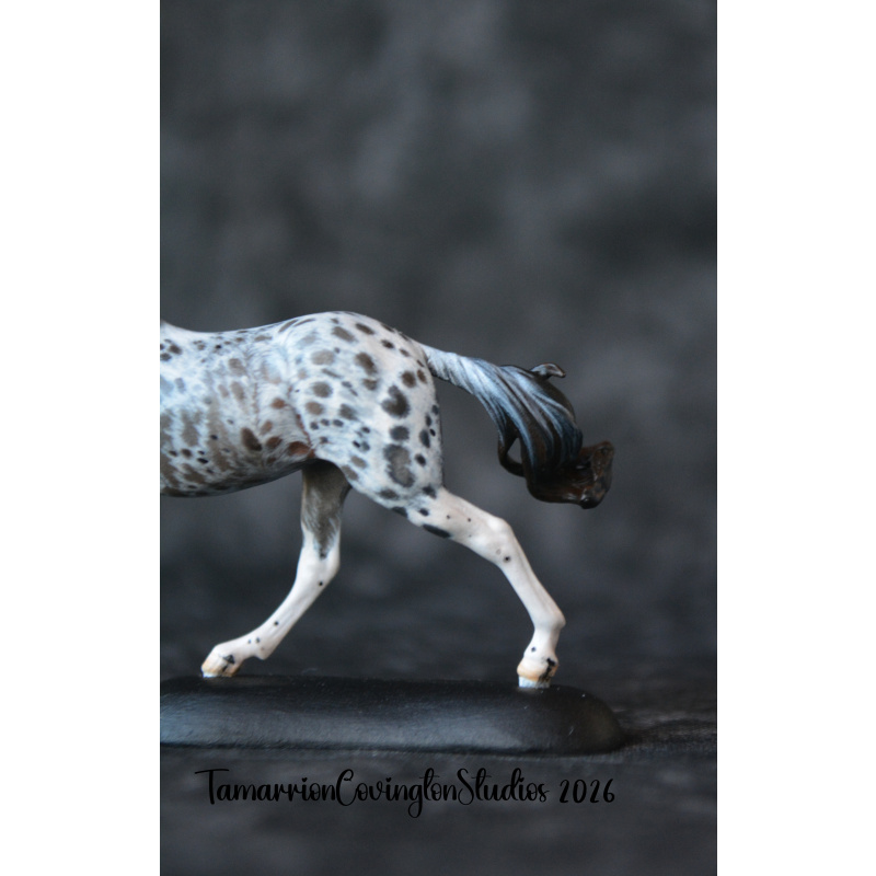 Roan appaloosa Custom micro mini Anise Painted and by Tamarion Covington