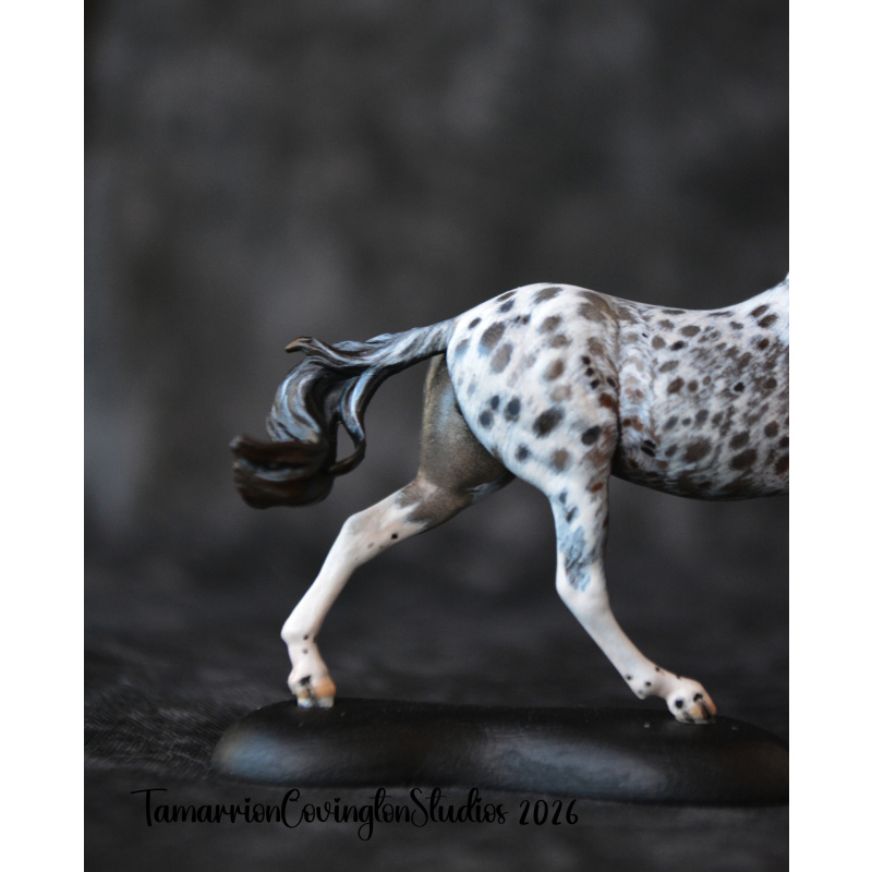Roan appaloosa Custom micro mini Anise Painted and by Tamarion Covington