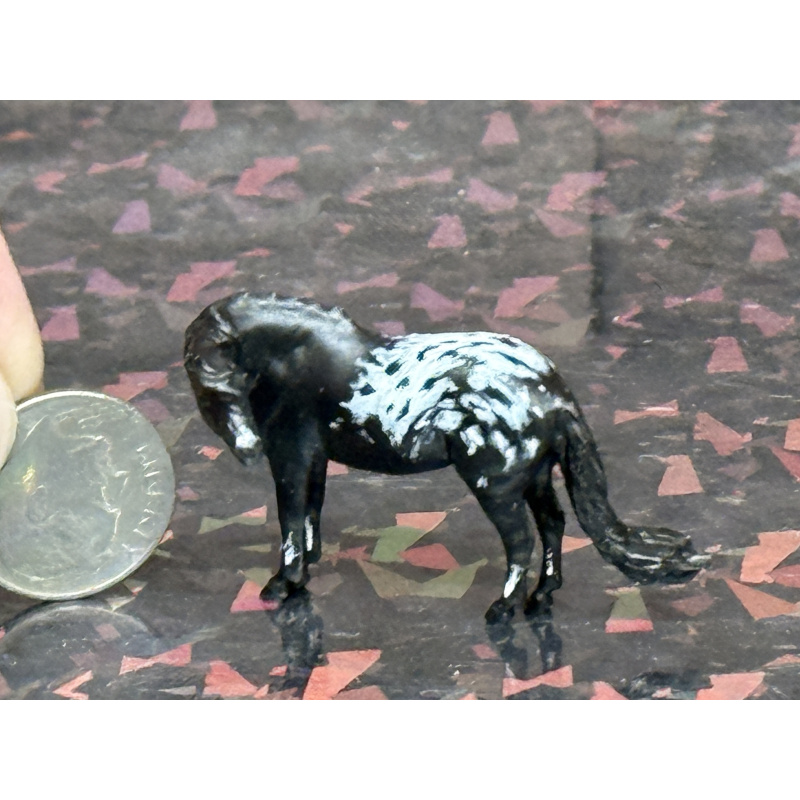 Resin Custom Horse Seunta Dime Sized Cutie To Black Appaloosa