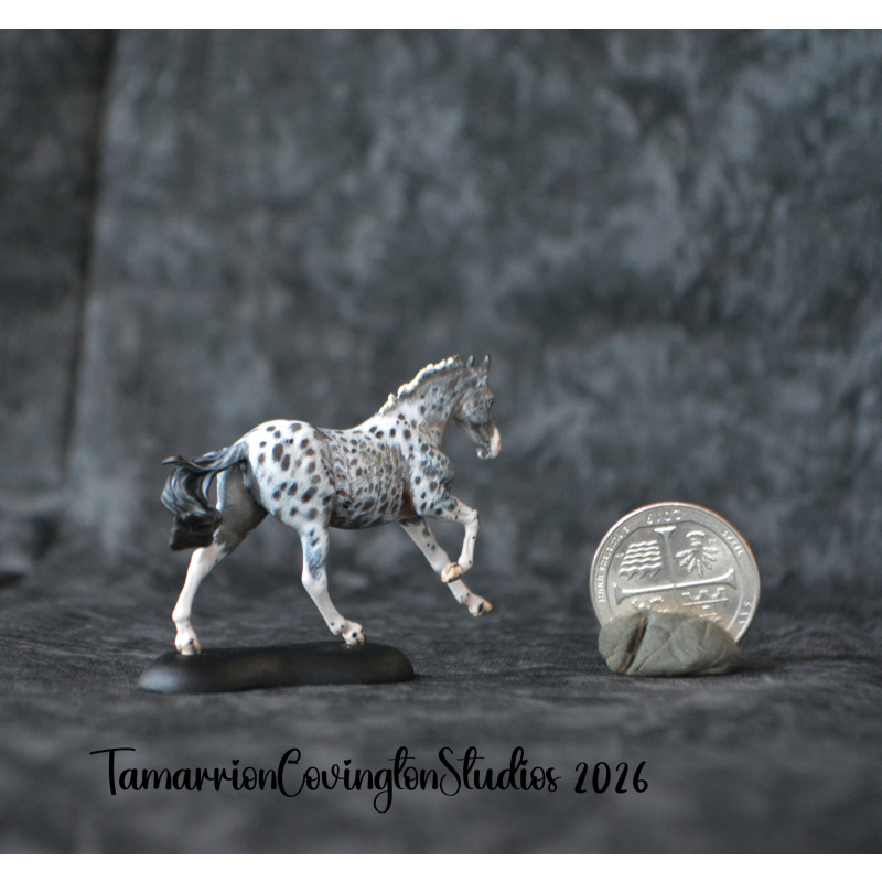 Roan appaloosa Custom micro mini Anise Painted and by Tamarion Covington