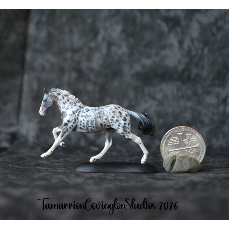 Roan appaloosa Custom micro mini Anise Painted and by Tamarion Covington