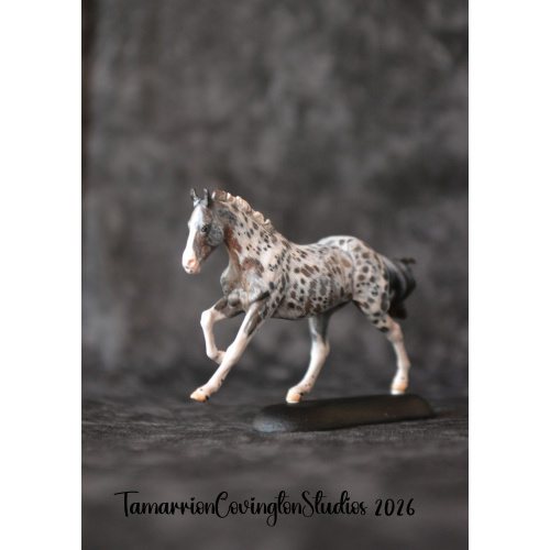 Roan appaloosa Custom micro mini Anise Painted and by Tamarion Covington