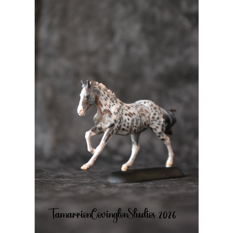 Roan appaloosa Custom micro mini Anise Painted and by Tamarion Covington