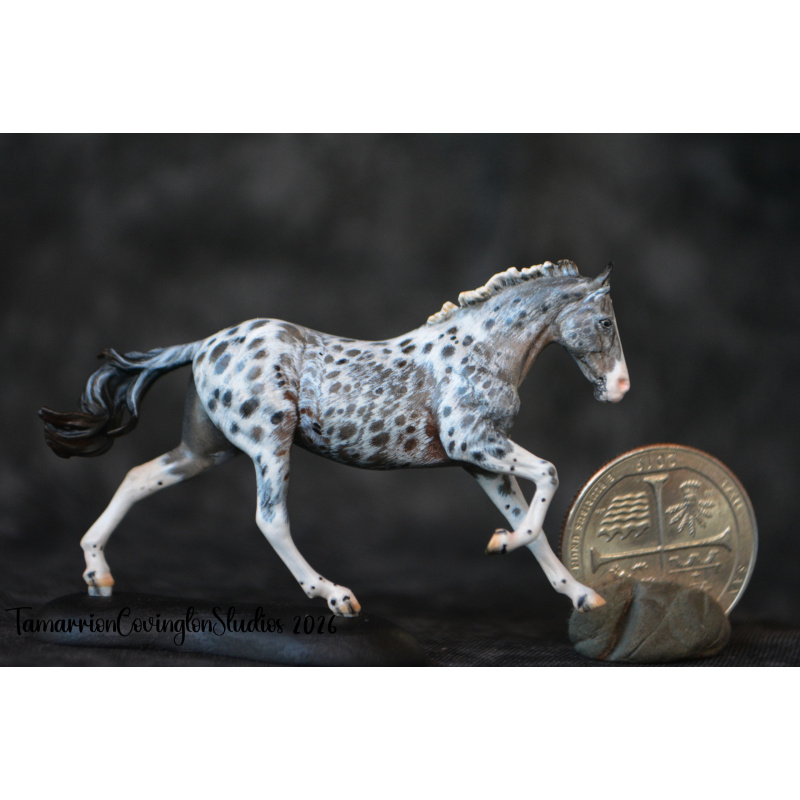 Roan appaloosa Custom micro mini Anise Painted and by Tamarion Covington