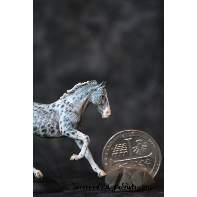 Roan appaloosa Custom micro mini Anise Painted and by Tamarion Covington