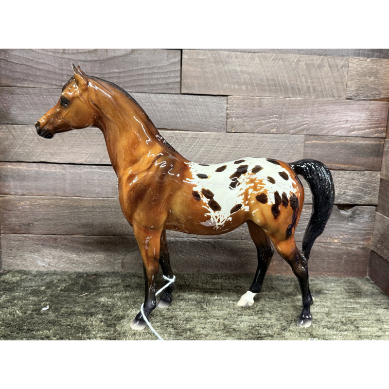 Breyer Custom Model Horse Proud Arabian Mare Buckskin Bay Blanket Appaloosa