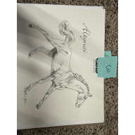 Breyer Material Premier Club Drawing Altynai