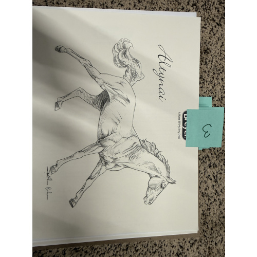 Breyer Material Premier Club Drawing Altynai