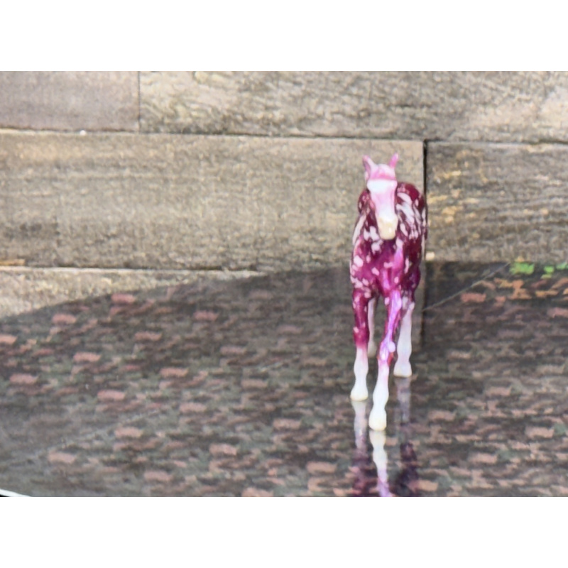 Breyer Custom Horse Stablemate Glossy Wild Dapple Glow Walking TB