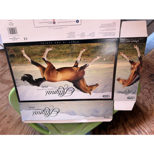 Breyer Material Premier Club Box Altynai