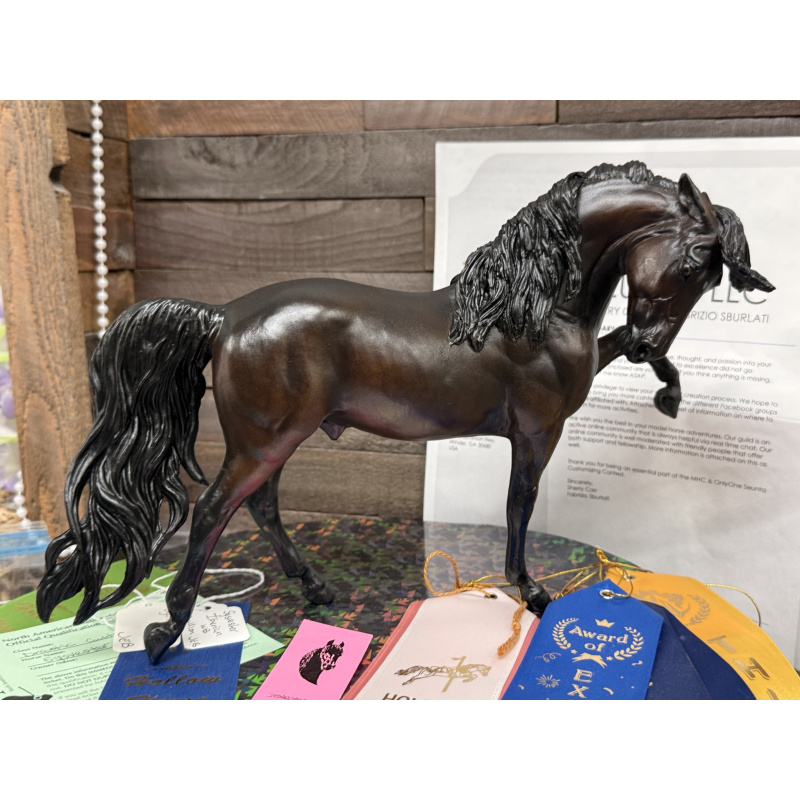 Breyer Custom Horse Traditional Sylvester Drastic Custom LSQ/PSQ