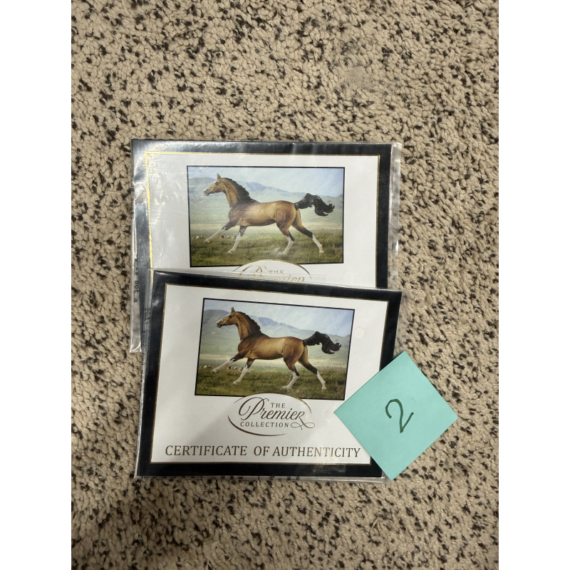 Breyer Material Premier Club COA Altynai