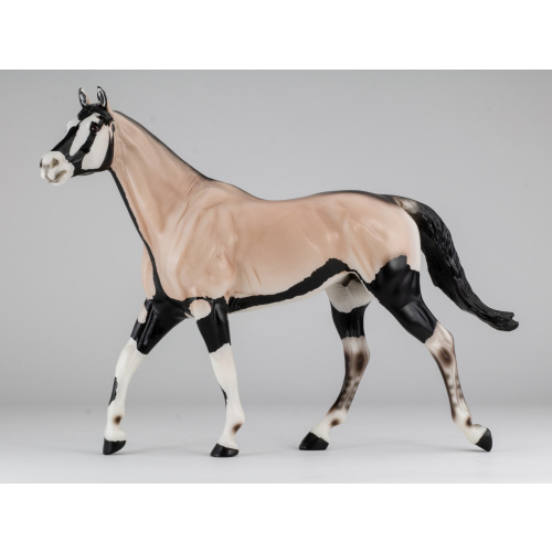 Baruti - 2021 Wild Animal Series Web Special