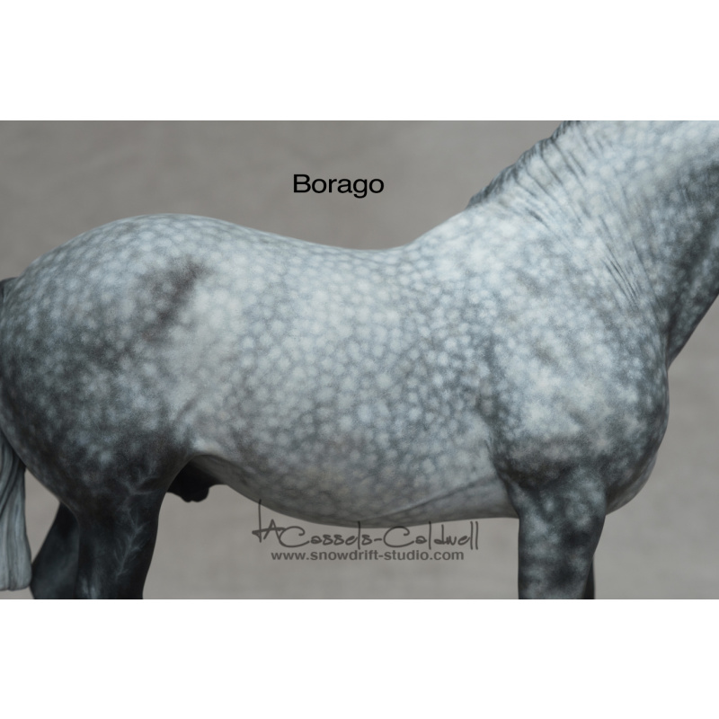 Borago Resin