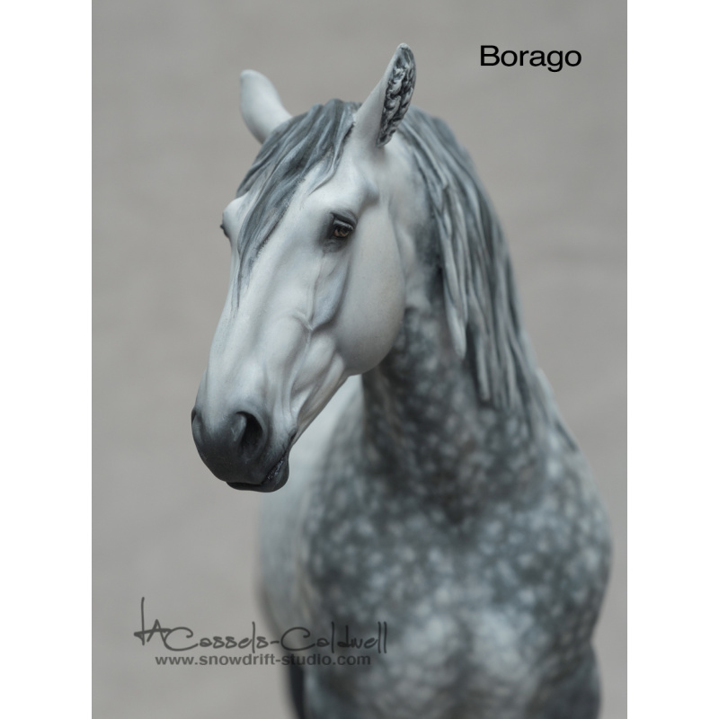 Borago Resin