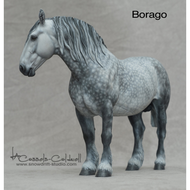 Borago Resin
