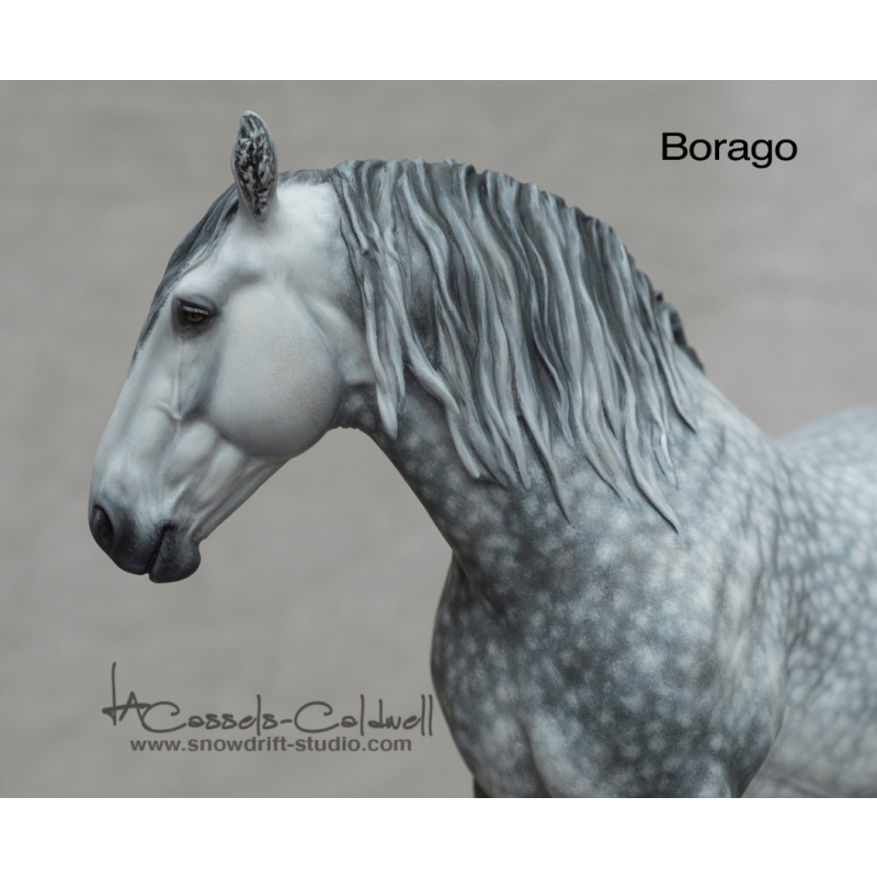 Borago Resin