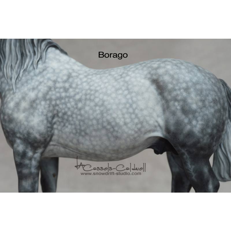 Borago Resin
