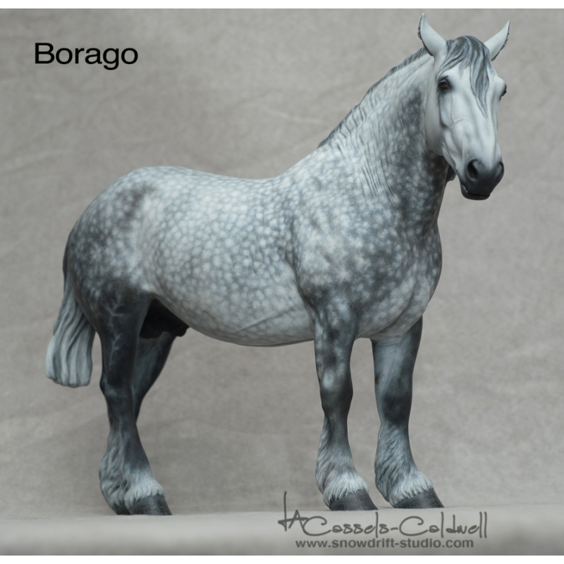 Borago Resin