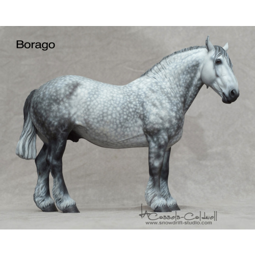 Borago Resin