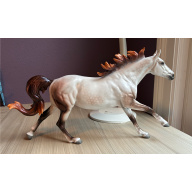 2026 Stone Equilocity volunteer model Volo “Calypso” - rose grey variation