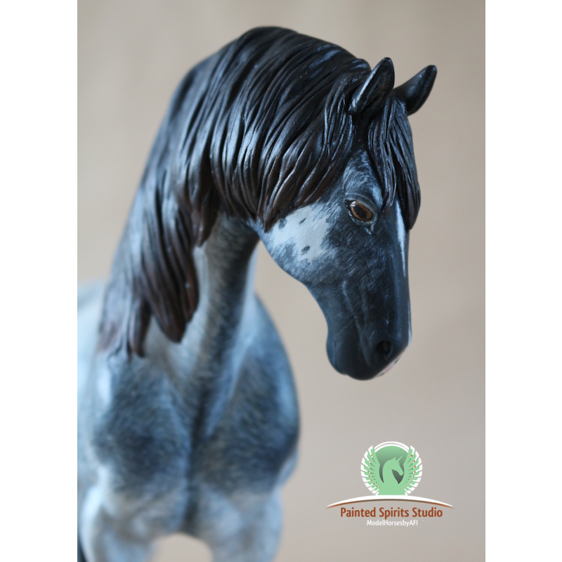 Cobalt Storm du Clos du Rohan - CM Breyer Spirit to blue roan