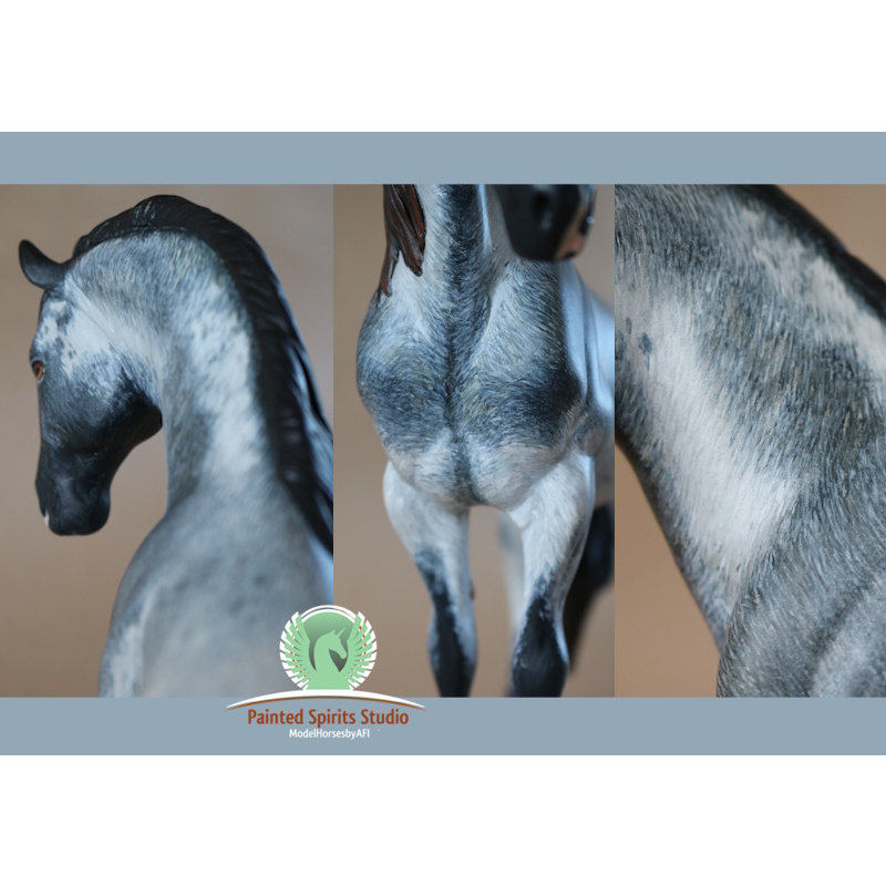 Cobalt Storm du Clos du Rohan - CM Breyer Spirit to blue roan