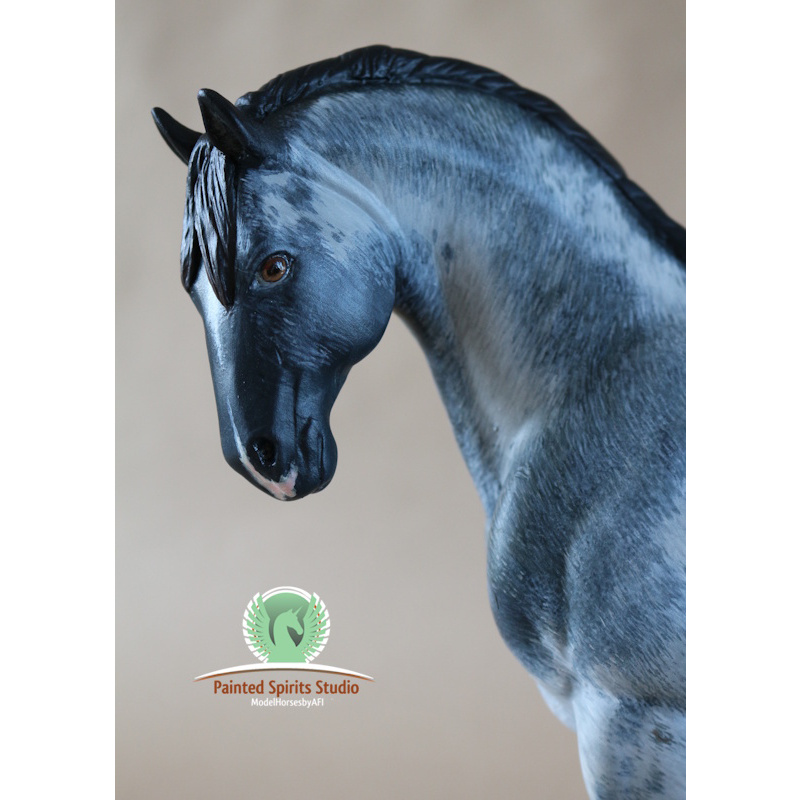 Cobalt Storm du Clos du Rohan - CM Breyer Spirit to blue roan