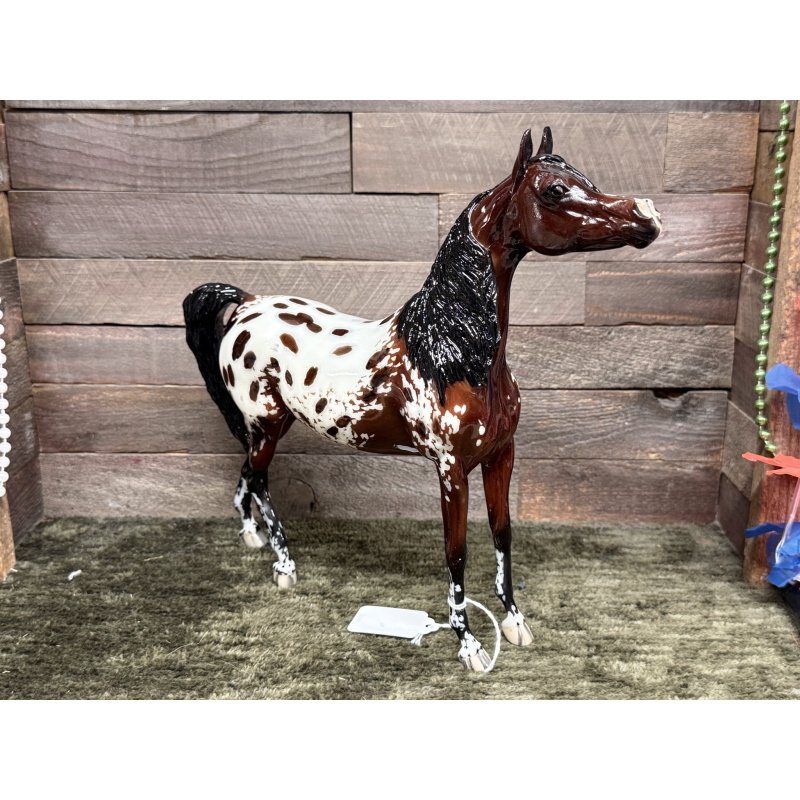 Breyer Custom Model Horse Zafirha Show Stance Arabian Bay Blanket Appaloosa