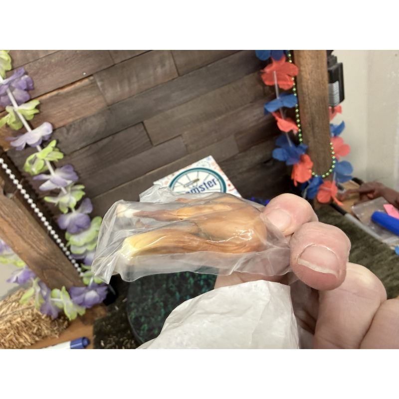 Breyer OF Horse Stablemate Breyerfest Irish Drought 2023  Teamster NWP