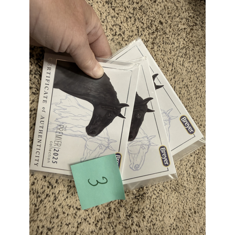 Breyer Material Premier Club COA Cossimo