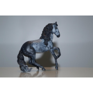 Amazing Mini-Alborozo Custom Dapple Gray