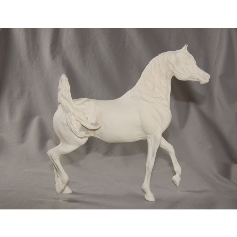 Gazal Al Shaqab Arabian Stallion U/P