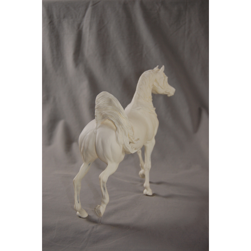 Gazal Al Shaqab Arabian Stallion U/P