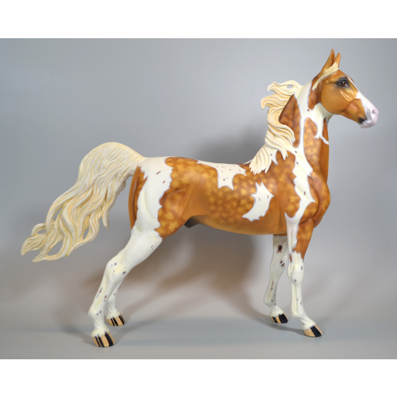 Custom ASB Stallion to Sooty Palomino Tobiano