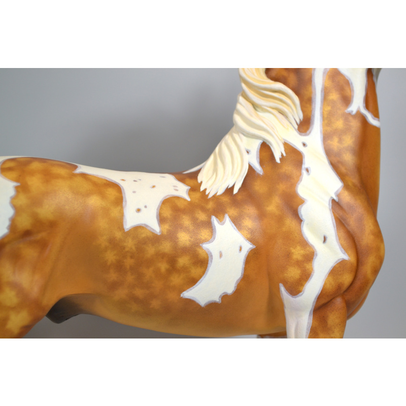 Custom ASB Stallion to Sooty Palomino Tobiano