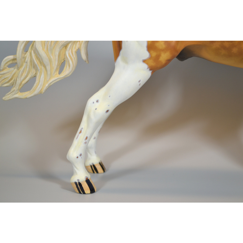 Custom ASB Stallion to Sooty Palomino Tobiano
