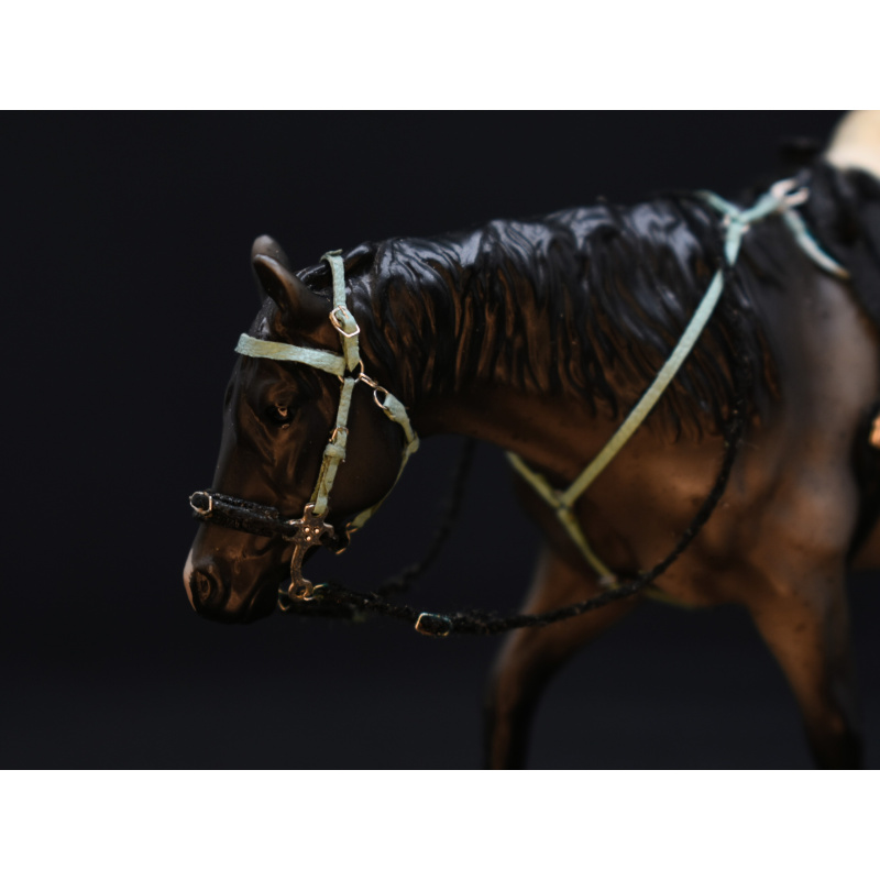Stablemate Australian Saddle / Endurance Riding Set