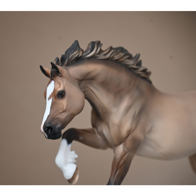 CM BREYER WELSH COB TO A LIGHTLY DAPPLED DUN