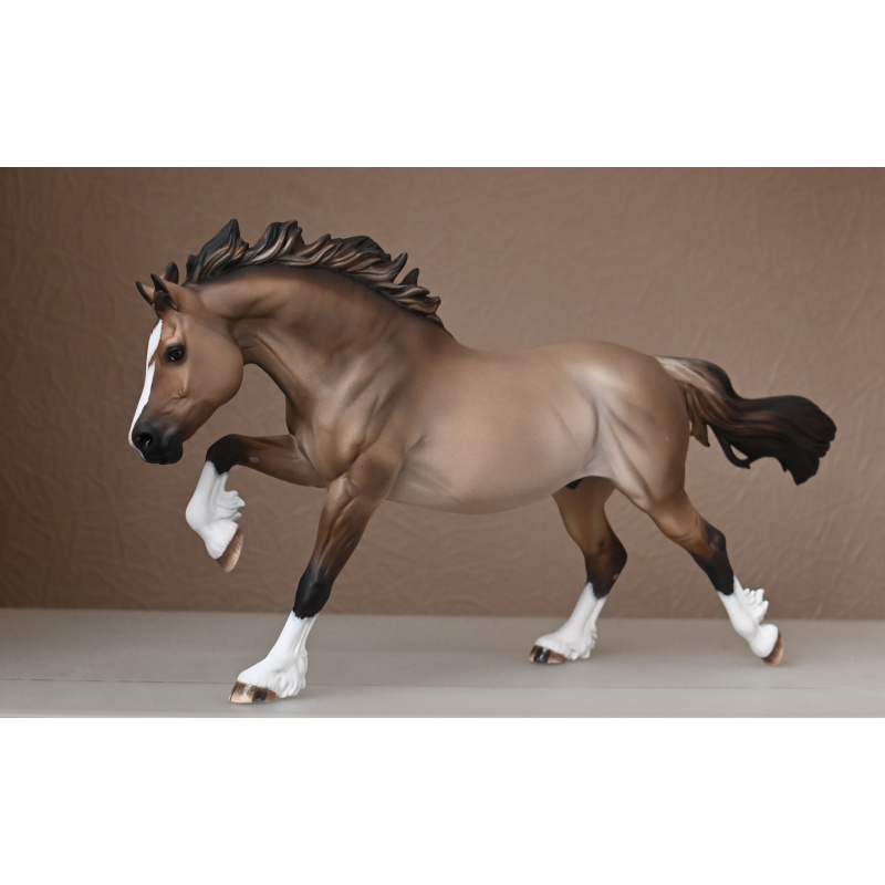 CM BREYER WELSH COB TO A LIGHTLY DAPPLED DUN