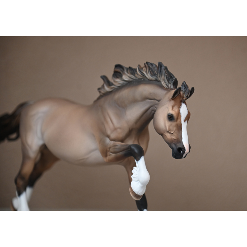 CM BREYER WELSH COB TO A LIGHTLY DAPPLED DUN