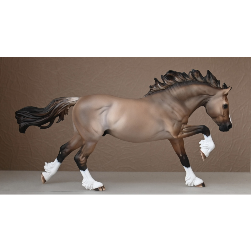 CM BREYER WELSH COB TO A LIGHTLY DAPPLED DUN