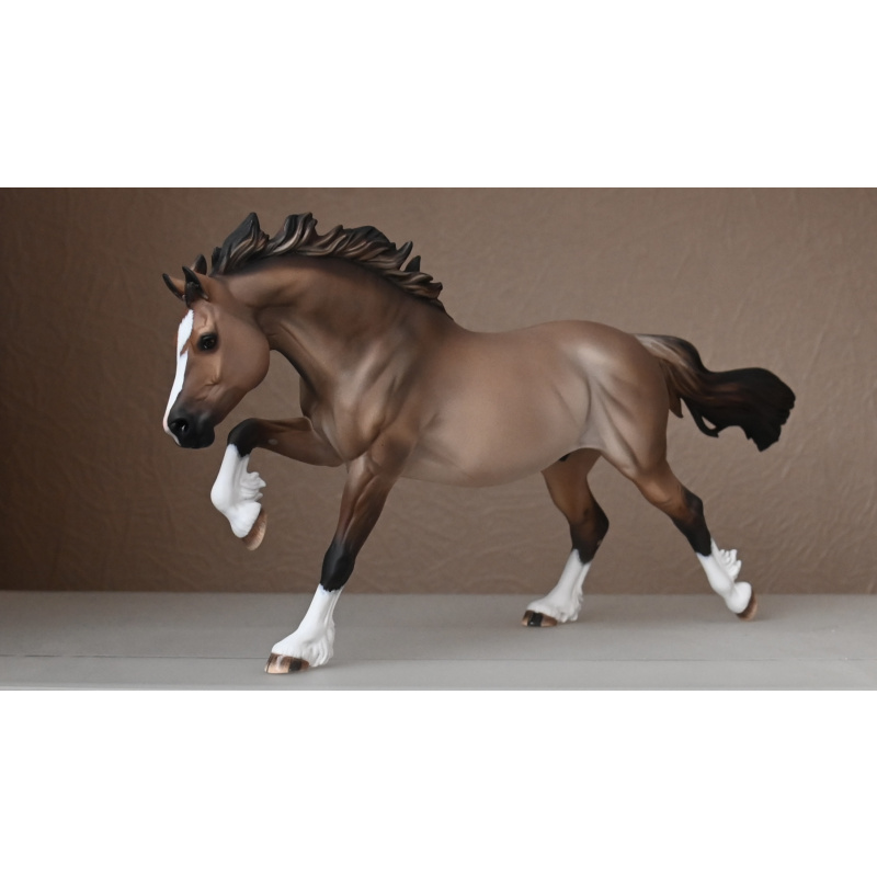 CM BREYER WELSH COB TO A LIGHTLY DAPPLED DUN