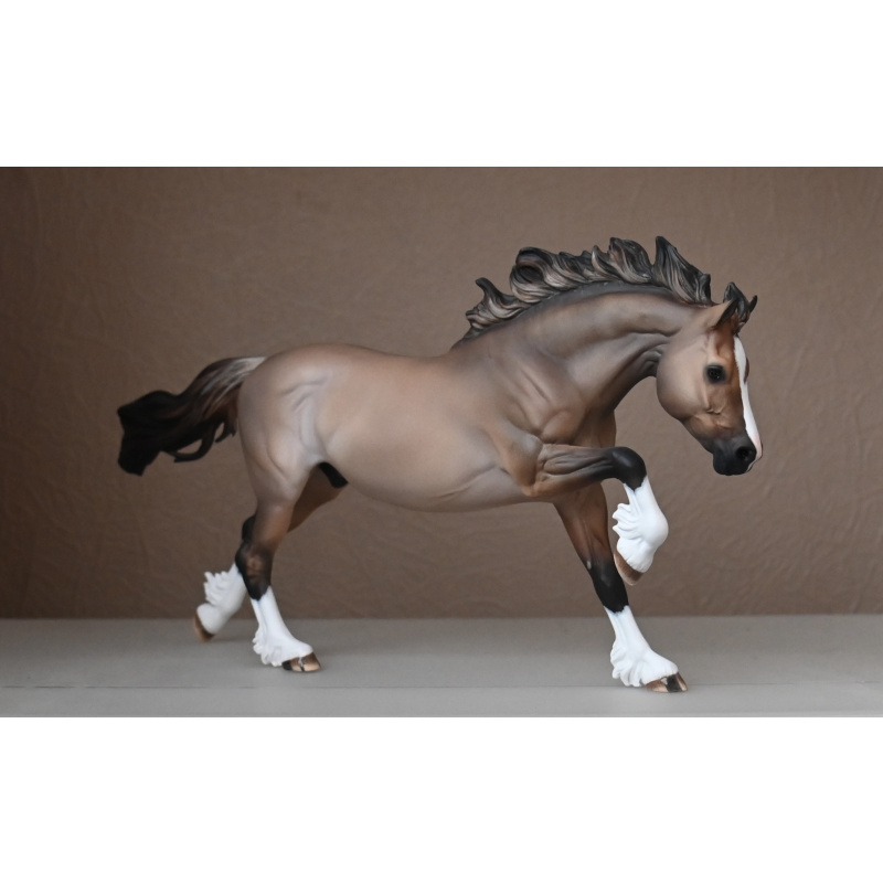 CM BREYER WELSH COB TO A LIGHTLY DAPPLED DUN
