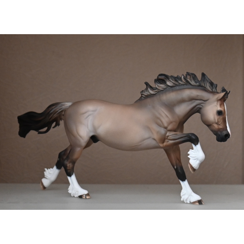 CM BREYER WELSH COB TO A LIGHTLY DAPPLED DUN