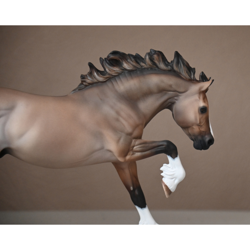 CM BREYER WELSH COB TO A LIGHTLY DAPPLED DUN