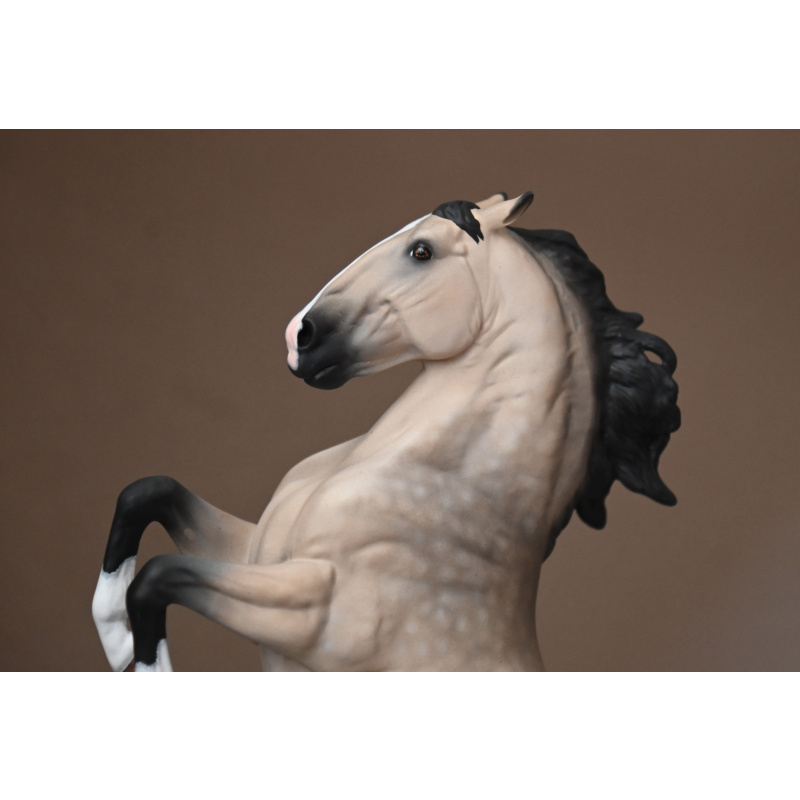 CM Breyer Adonis to a dappled buckskin
