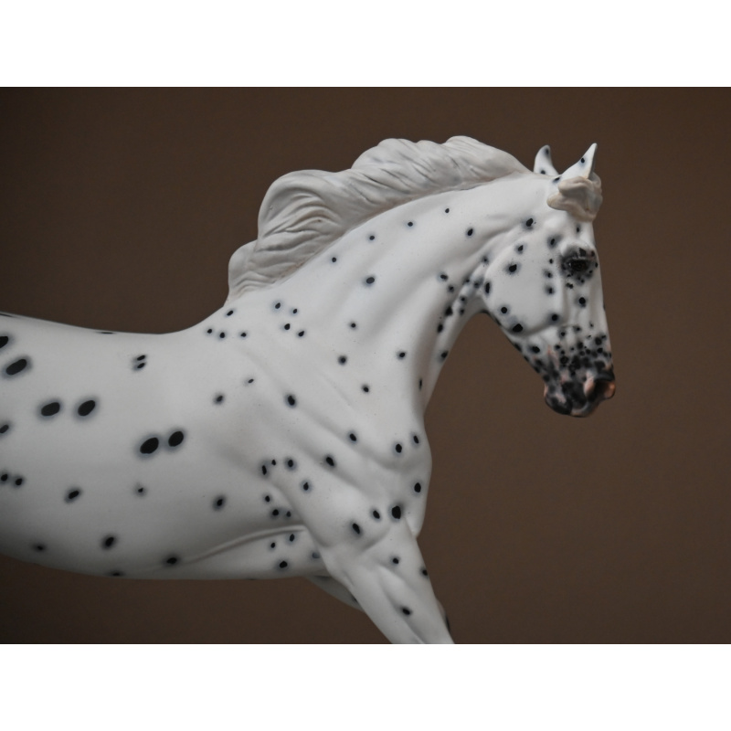 CM BREYER TIGERLILY TO AN APPALOOSA