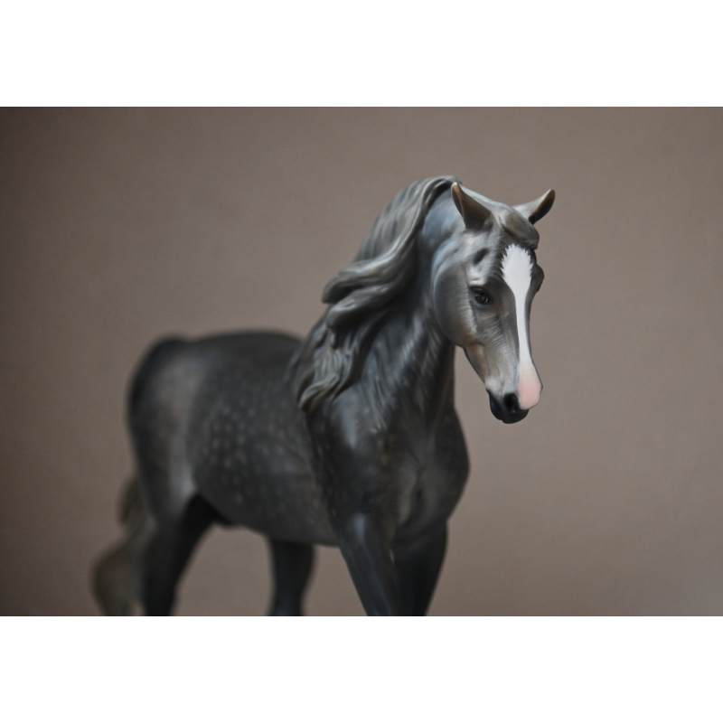 CM BREYER MORGAN TO A DAPPLED STEEL GREY